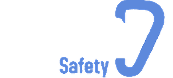 Guardian Safety